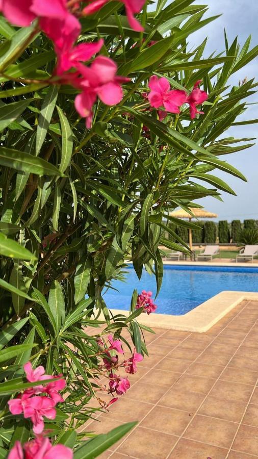 Finca Sol Y Vida - Agroturismo Son Sampoli Otel Llucmajor  Dış mekan fotoğraf